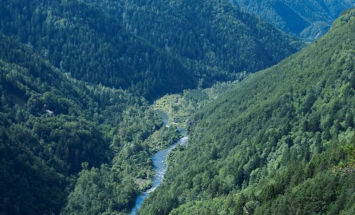 Panorama sull'Avisio dal Sentiero Botanico tra Grauno e Capriana | © Sara Zucal, Rete di Riserve Val di Cembra Avisio Panorama sull'Avisio dal Sentiero Botanico tra Grauno e Capriana | © Sara Zucal, Rete di Riserve Val di Cembra Avisio