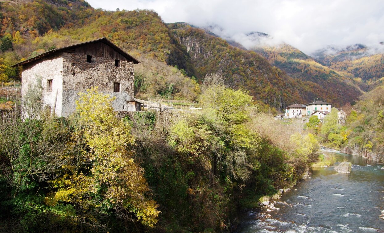 Der Avisio und die Fraktion Prà vom Cantilaga-Brücke | © Sara Zucal, Rete di Riserve Val di Cembra Avisio Der Avisio und die Fraktion Prà vom Cantilaga-Brücke | © Sara Zucal, Rete di Riserve Val di Cembra Avisio
