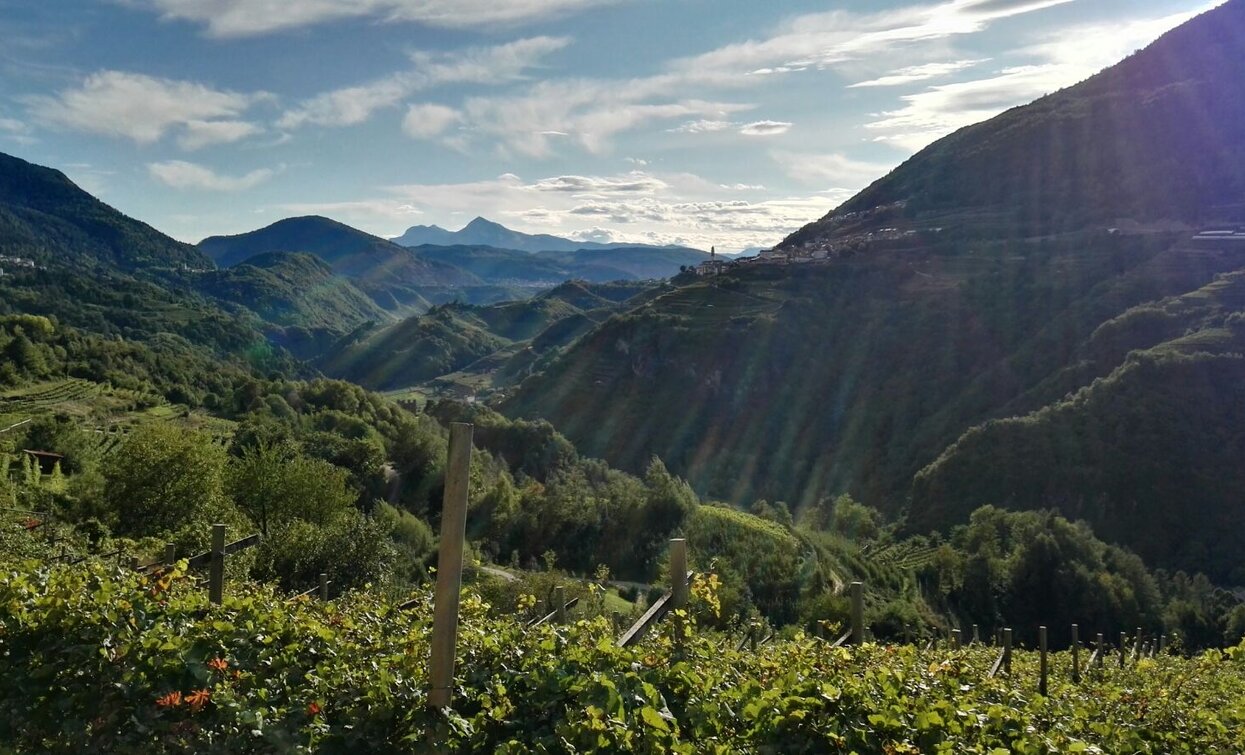 Panorama auf das Land von Segonzano und das Val di Cembra | © Elisa Travaglia, Rete di Riserve Val di Cembra Avisio Panorama auf das Land von Segonzano und das Val di Cembra | © Elisa Travaglia, Rete di Riserve Val di Cembra Avisio