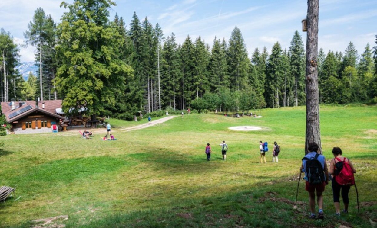 Die Potzmauerhütte im Becken einer von Fichten umgebenen Wiese | © Patrick Odorizzi, Rete di Riserve Val di Cembra Avisio Die Potzmauerhütte im Becken einer von Fichten umgebenen Wiese | © Patrick Odorizzi, Rete di Riserve Val di Cembra Avisio