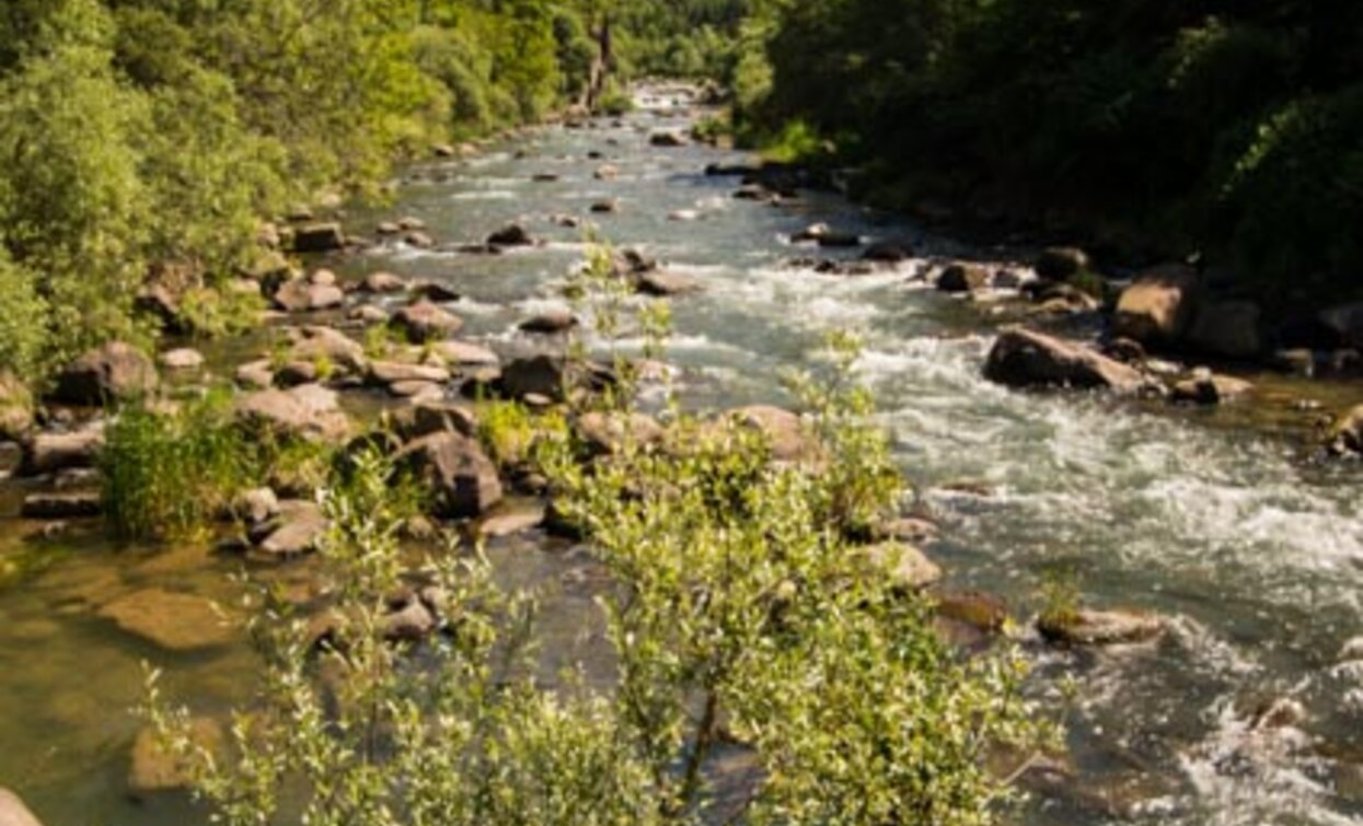 The path runs along the stream, offering stunning views | © Sara Zucal, Rete di Riserve Val di Cembra Avisio The path runs along the stream, offering stunning views | © Sara Zucal, Rete di Riserve Val di Cembra Avisio