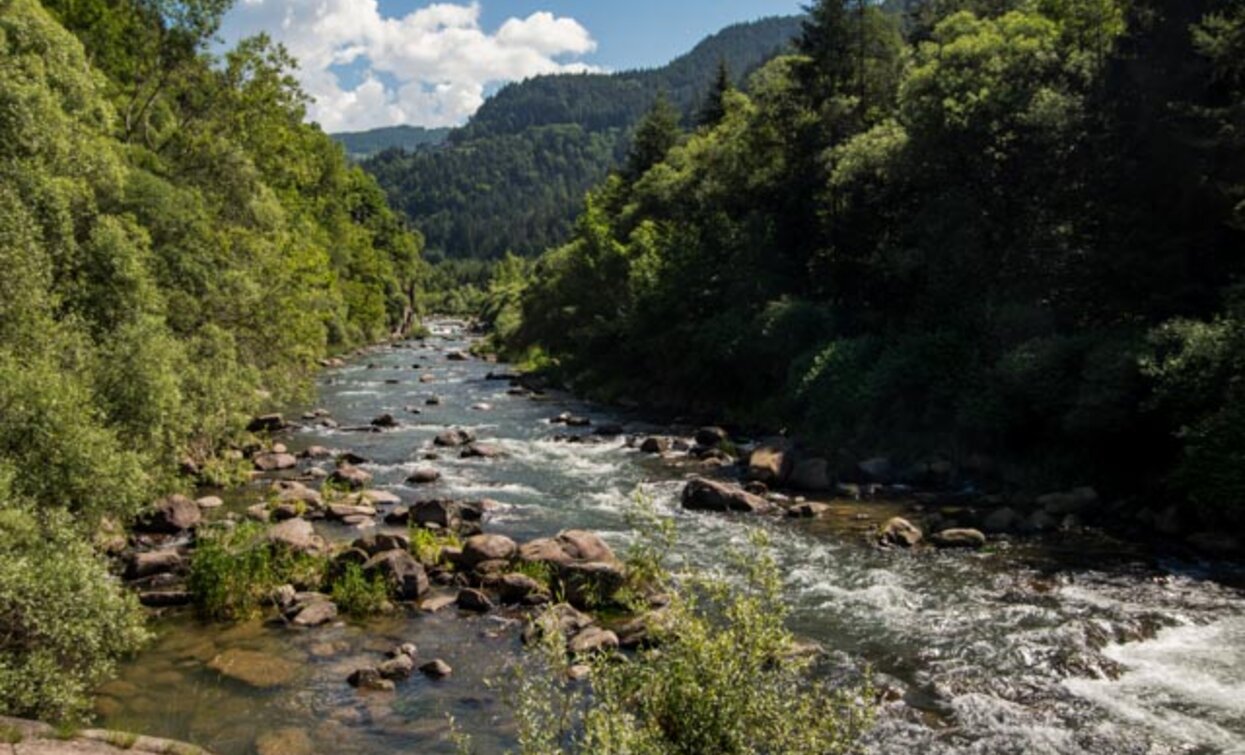 Il sentiero costeggia il torrente che regala panorami suggestivi | © Sara Zucal, Rete di Riserve Val di Cembra Avisio Il sentiero costeggia il torrente che regala panorami suggestivi | © Sara Zucal, Rete di Riserve Val di Cembra Avisio