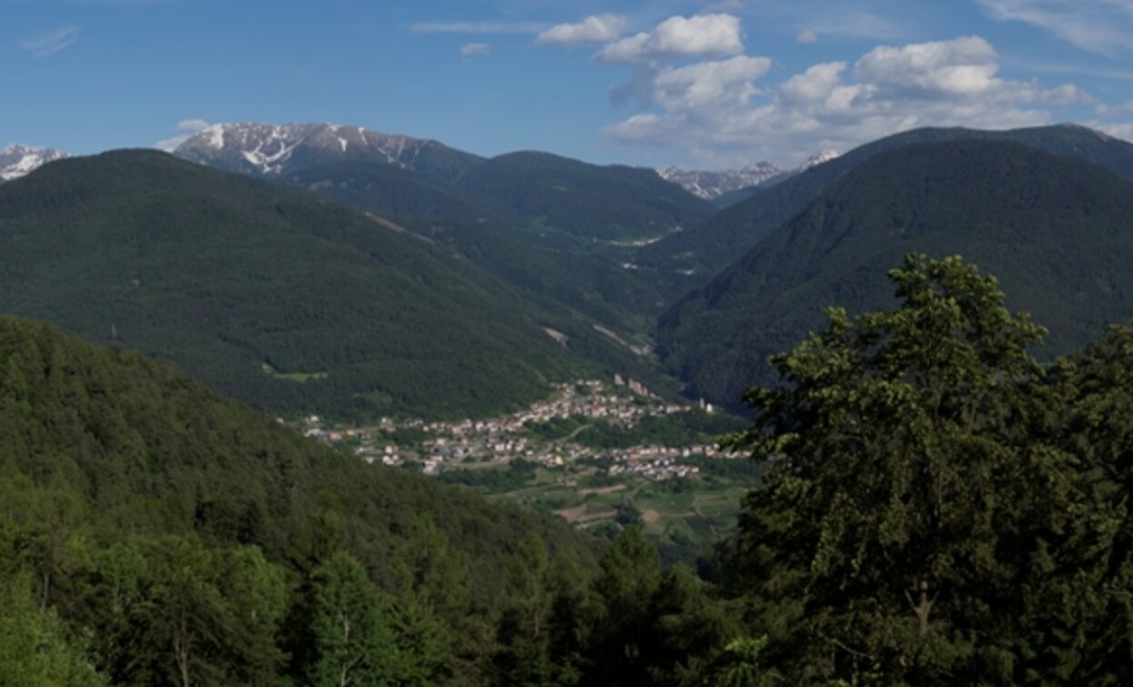 Panorama from the Ponciach hill towards the Cembra Valley | © Albatros, Rete di Riserve Val di Cembra Avisio Panorama from the Ponciach hill towards the Cembra Valley | © Albatros, Rete di Riserve Val di Cembra Avisio