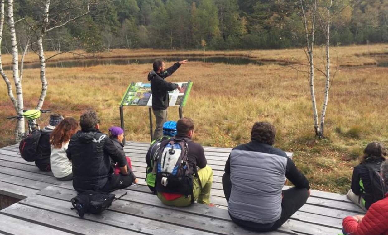 The boardwalk at Lac del Vedes with informative panels | © Elisa Travaglia, Rete di Riserve Val di Cembra Avisio The boardwalk at Lac del Vedes with informative panels | © Elisa Travaglia, Rete di Riserve Val di Cembra Avisio
