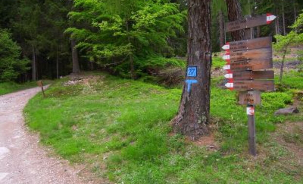 Eine der Gabelungen entlang der Forstwege, die zum Ort "Peschiera" hinaufführen | © Maurizio Fernetti, Rete di Riserve Val di Cembra Avisio Eine der Gabelungen entlang der Forstwege, die zum Ort "Peschiera" hinaufführen | © Maurizio Fernetti, Rete di Riserve Val di Cembra Avisio