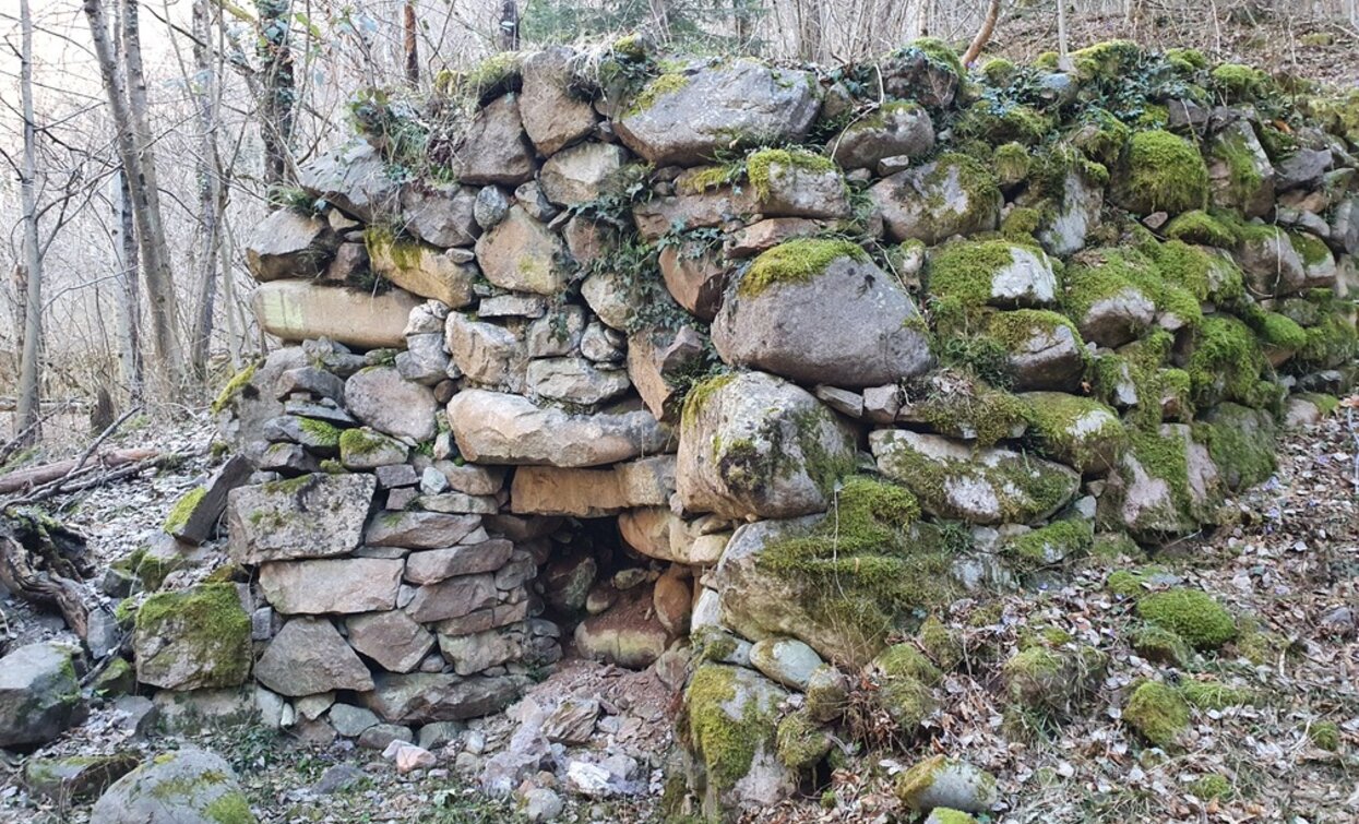 One of the Vettori limestone under the Maso Pianacci | © Elisa Travaglia, Rete di Riserve Val di Cembra Avisio One of the Vettori limestone under the Maso Pianacci | © Elisa Travaglia, Rete di Riserve Val di Cembra Avisio