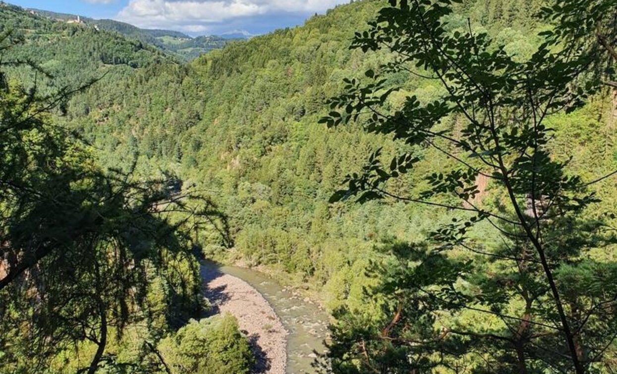 View over the wild river environment of the Avisio | © Elisa Travaglia, Rete di Riserve Val di Cembra Avisio View over the wild river environment of the Avisio | © Elisa Travaglia, Rete di Riserve Val di Cembra Avisio