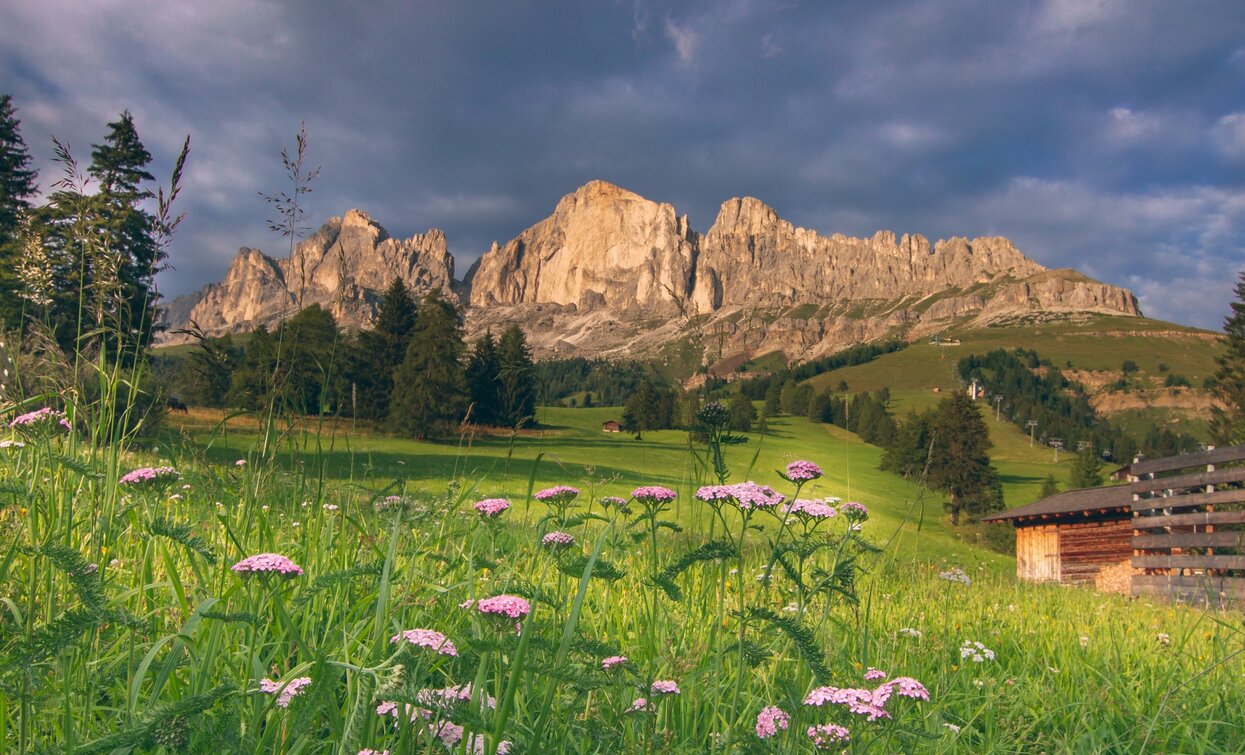 Passo Carezza/Costalunga - Catinaccio ©Archivio APT Val di Fassa | © C.C. Azienda per il Turismo della Val di Fassa, APT Val di Fassa Passo Carezza/Costalunga - Catinaccio ©Archivio APT Val di Fassa | © C.C. Azienda per il Turismo della Val di Fassa, APT Val di Fassa