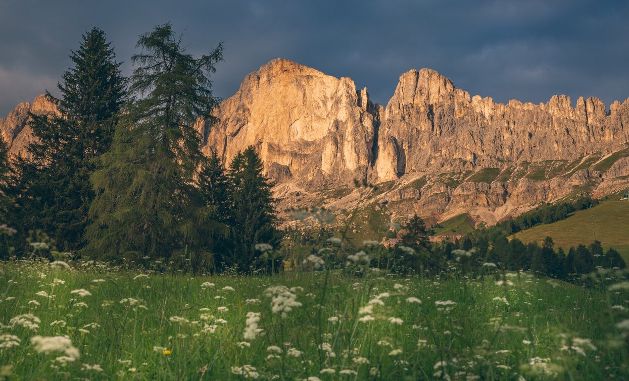 Passo Costalunga - Catinaccio Rosengarten ©Archivio APT Val di Fassa | © C.C. Azienda per il Turismo della Val di Fassa, APT Val di Fassa Passo Costalunga - Catinaccio Rosengarten ©Archivio APT Val di Fassa | © C.C. Azienda per il Turismo della Val di Fassa, APT Val di Fassa