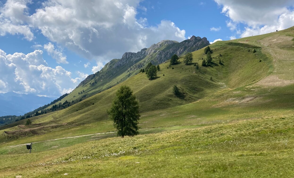 Alpe Lusia - Laghi di Lusia - Cima Bocche - ©Archivio S.i.f. Impianti Funiviari Lusia S.p.a. | © Pierpaolo Boso, Val di Fassa Alpe Lusia - Laghi di Lusia - Cima Bocche - ©Archivio S.i.f. Impianti Funiviari Lusia S.p.a. | © Pierpaolo Boso, Val di Fassa