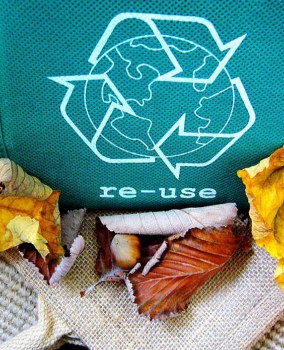Un sacchetto verde con il simbolo del riciclo e la scritta "re-use". Attorno ci sono foglie secche, che richiamano un tema ecologico.
