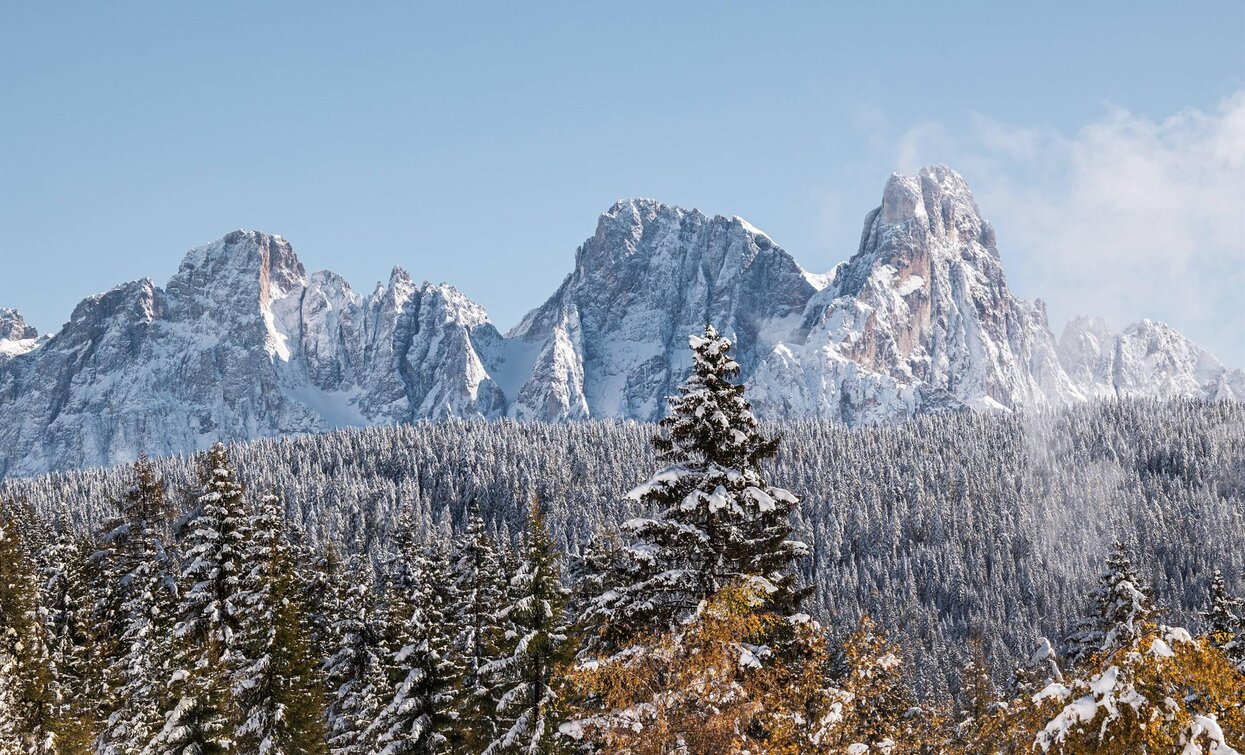 parco naturale di paneveggio pale di san martino