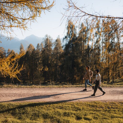 Due amiche passeggiano su strada forestale | © APT Fiemme e Cembra - foto di Gaia Panozzo