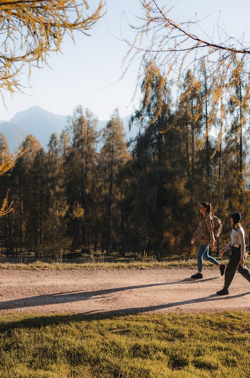 Due amiche passeggiano su strada forestale | © APT Fiemme e Cembra - foto di Gaia Panozzo