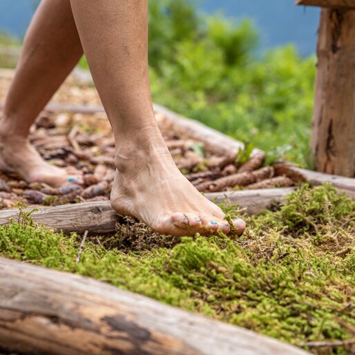 Piedi nudi su percorso sensoriale di muschio e corteccia | © APT Val di Fiemme - Gaia Panozzo