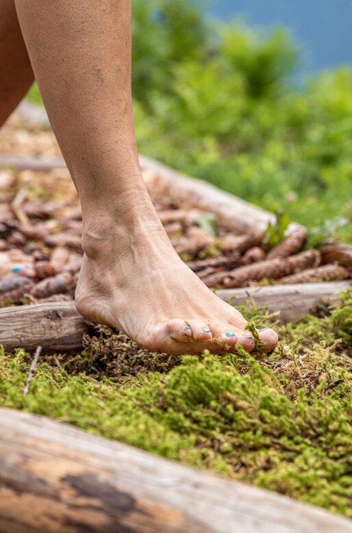 Piedi nudi su percorso sensoriale di muschio e corteccia | © APT Val di Fiemme - Gaia Panozzo