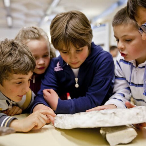 Bambini studiano un fossile | © APT Fiemme e Cembra