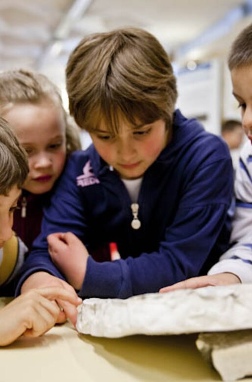 Bambini studiano un fossile | © APT Fiemme e Cembra
