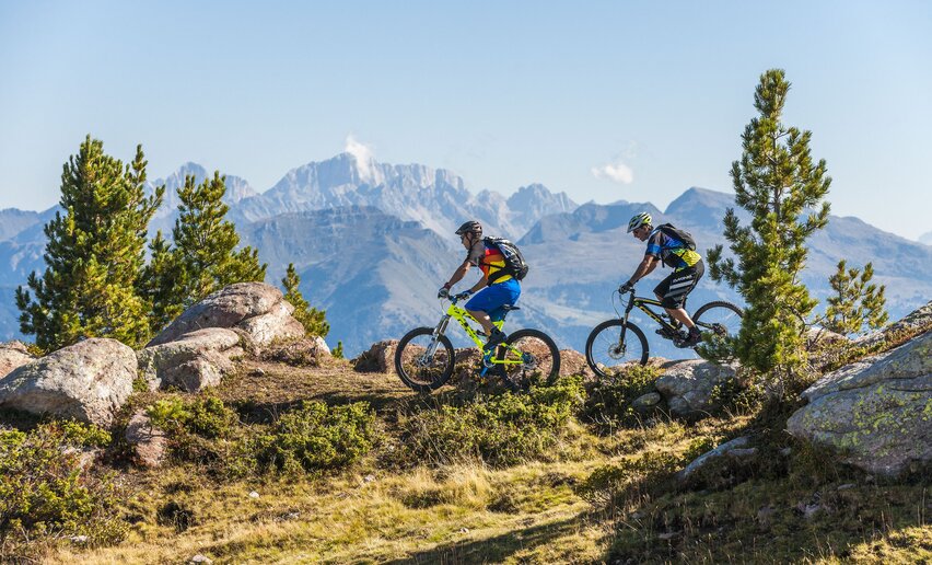 Due ciclisti su un sentiero di montagna all'Alpe Cermis | © APT Fiemme e Cembra - Ronny Kiaulehn