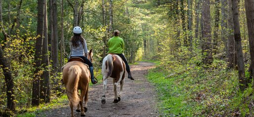 Due ragazzi cavalcano nel bosco | © APT Fiemme e Cembra