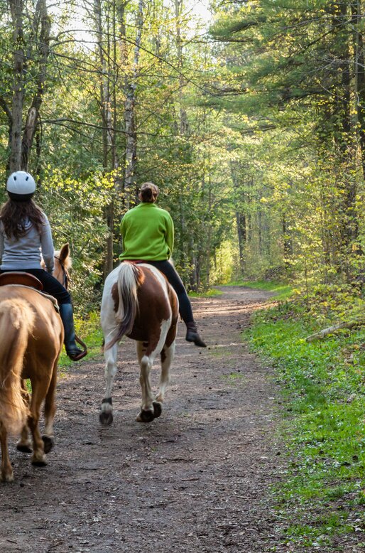 Due ragazzi cavalcano nel bosco | © APT Fiemme e Cembra