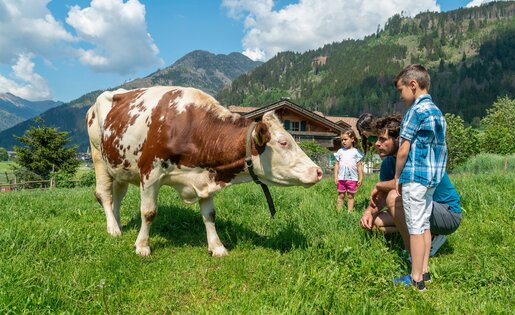 Famiglia si avvicina a una mucca nei prati del Maso Lena a Predazzo | © APT Fiemme e Cembra - Aringa Studio