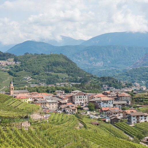 Panorama sulla Val di Cembra con i suoi vigneti e paesi | © APT Fiemme e Cembra - D. Mortara
