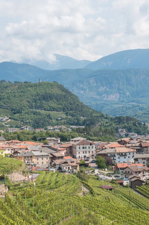 Panorama sulla Val di Cembra con i suoi vigneti e paesi | © APT Fiemme e Cembra - D. Mortara