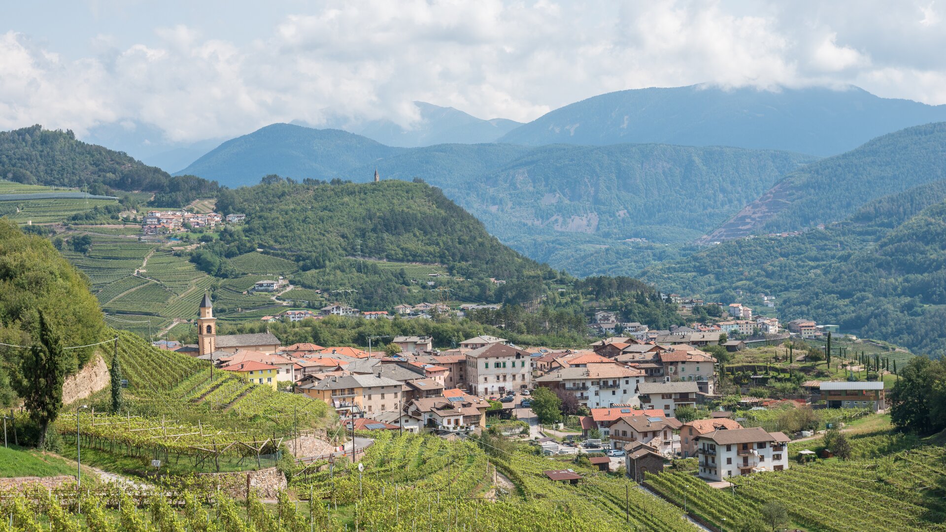 Panorama sulla Val di Cembra con i suoi vigneti e paesi | © APT Fiemme e Cembra - D. Mortara