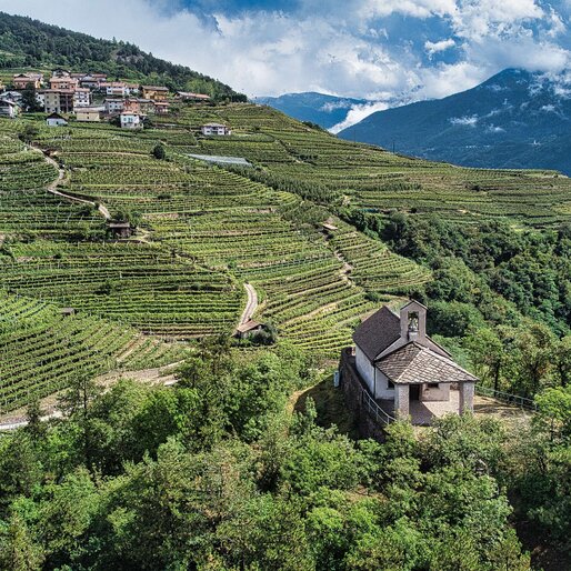 Chiesetta San Leonard di Lisignago tra le vigne | © APT Fiemme e Cembra - M. Dall'Agnol