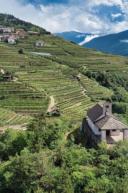Chiesetta San Leonard di Lisignago tra le vigne | © APT Fiemme e Cembra - M. Dall'Agnol