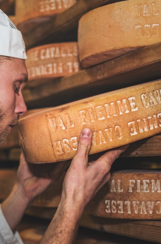 Casaro odora una forma di formaggio Val di Fiemme Cavalese  | © Caseificio Val di Fiemme - G. Cabizzoso