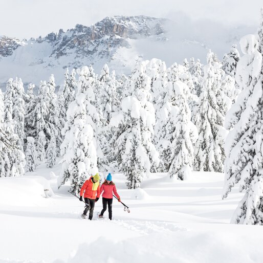 Ciaspolata sull'Altopiano di Lavazè.  | © APT Fiemme e Cembra - Gaia Panozzo