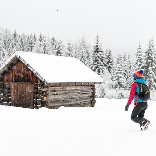 © APT Fiemme e Cembra - Gaia Panozzo