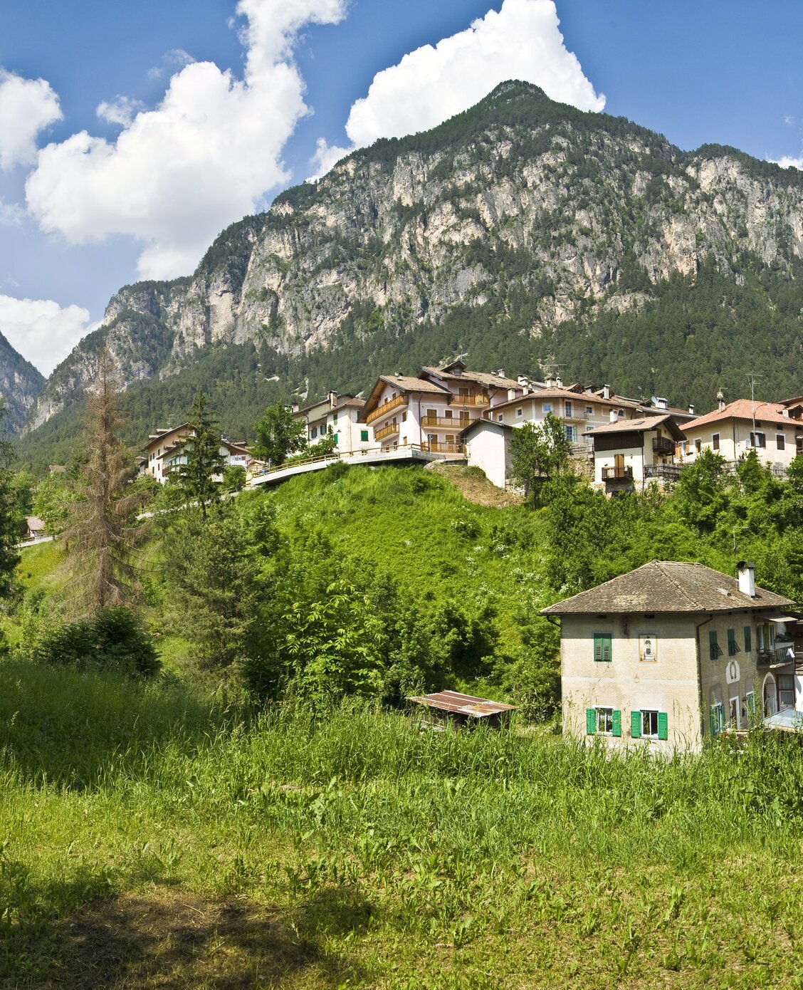 Explore Val di Fiemme - Fiemme